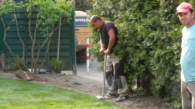 Zwei Mitarbeiter beim Rückschnitt einer hohen Hecke