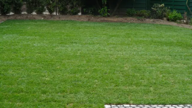 Rasenfläche mit neu gesetzter Belagskante